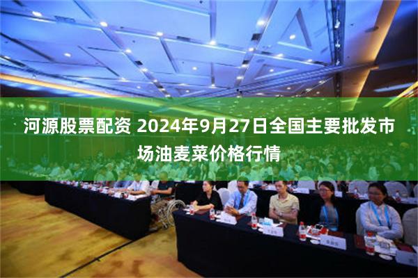 河源股票配资 2024年9月27日全国主要批发市场油麦菜价格行情