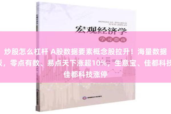 炒股怎么杠杆 A股数据要素概念股拉升！海量数据2连板，零点有数、易点天下涨超10%，生意宝、佳都科技涨停