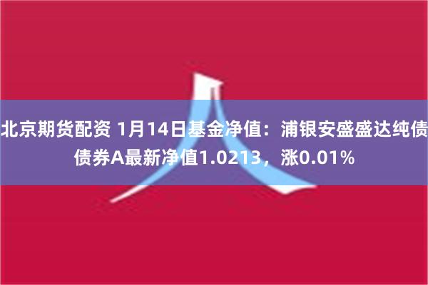 北京期货配资 1月14日基金净值：浦银安盛盛达纯债债券A最新净值1.0213，涨0.01%