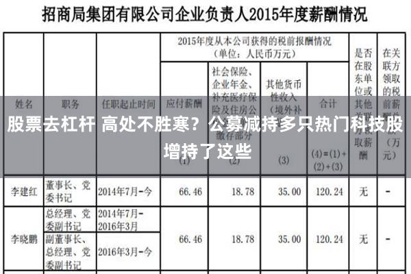 股票去杠杆 高处不胜寒？公募减持多只热门科技股 增持了这些